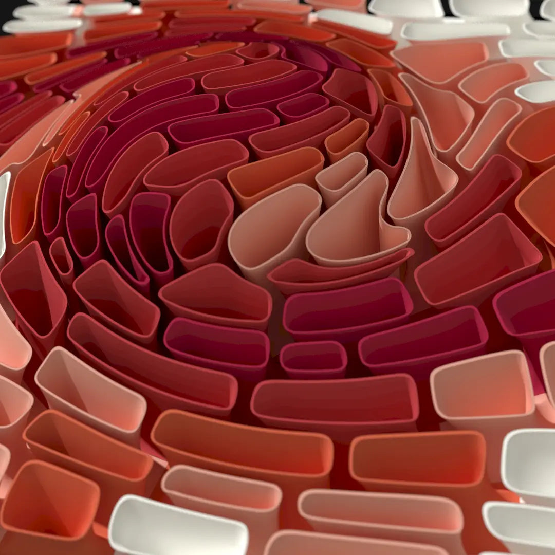 CORAL BULGE - 3D MODEL EXPORT / PARAGAMI 010_012