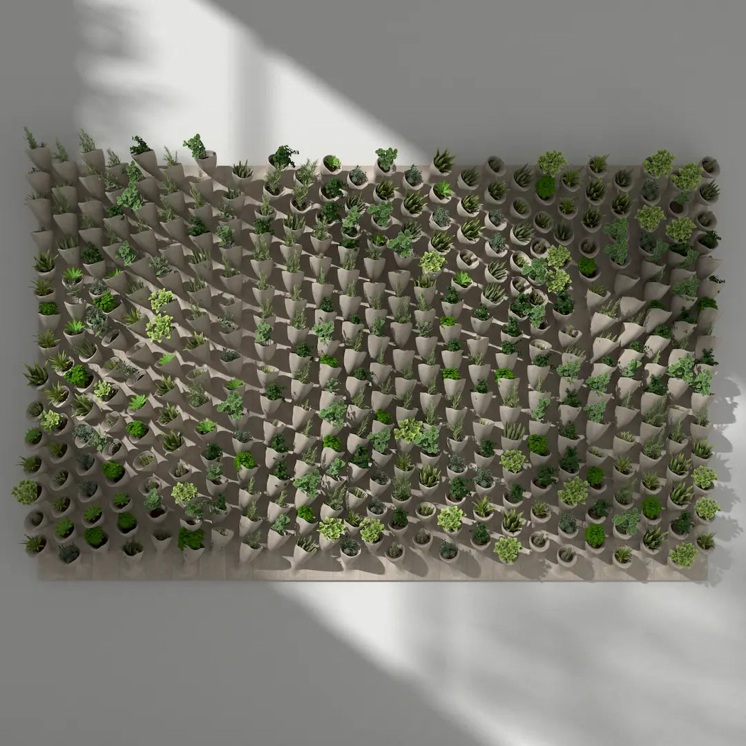 3D MODEL EXPORT for PARAGAMI 10_07 - CORNETS DE FLEUR