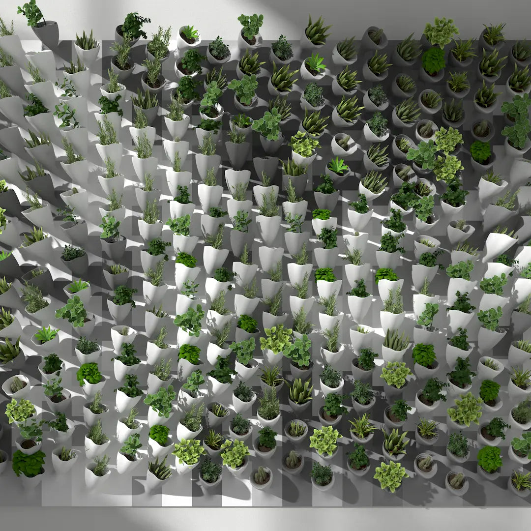 3D MODEL EXPORT for PARAGAMI 10_07 - CORNETS DE FLEUR