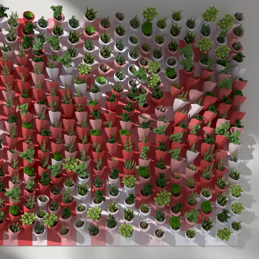 3D MODEL EXPORT for PARAGAMI 10_07 - CORNETS DE FLEUR