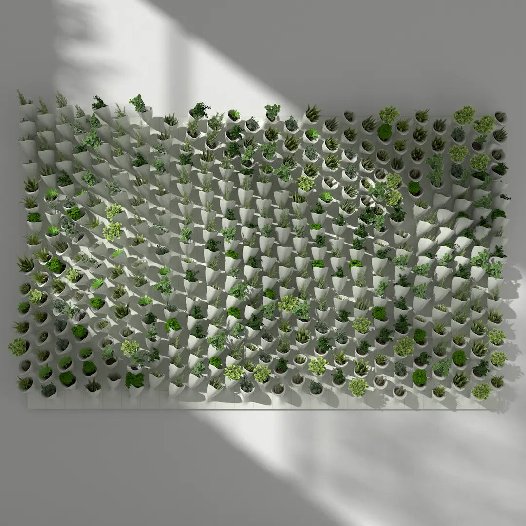 3D MODEL EXPORT for PARAGAMI 10_07 - CORNETS DE FLEUR