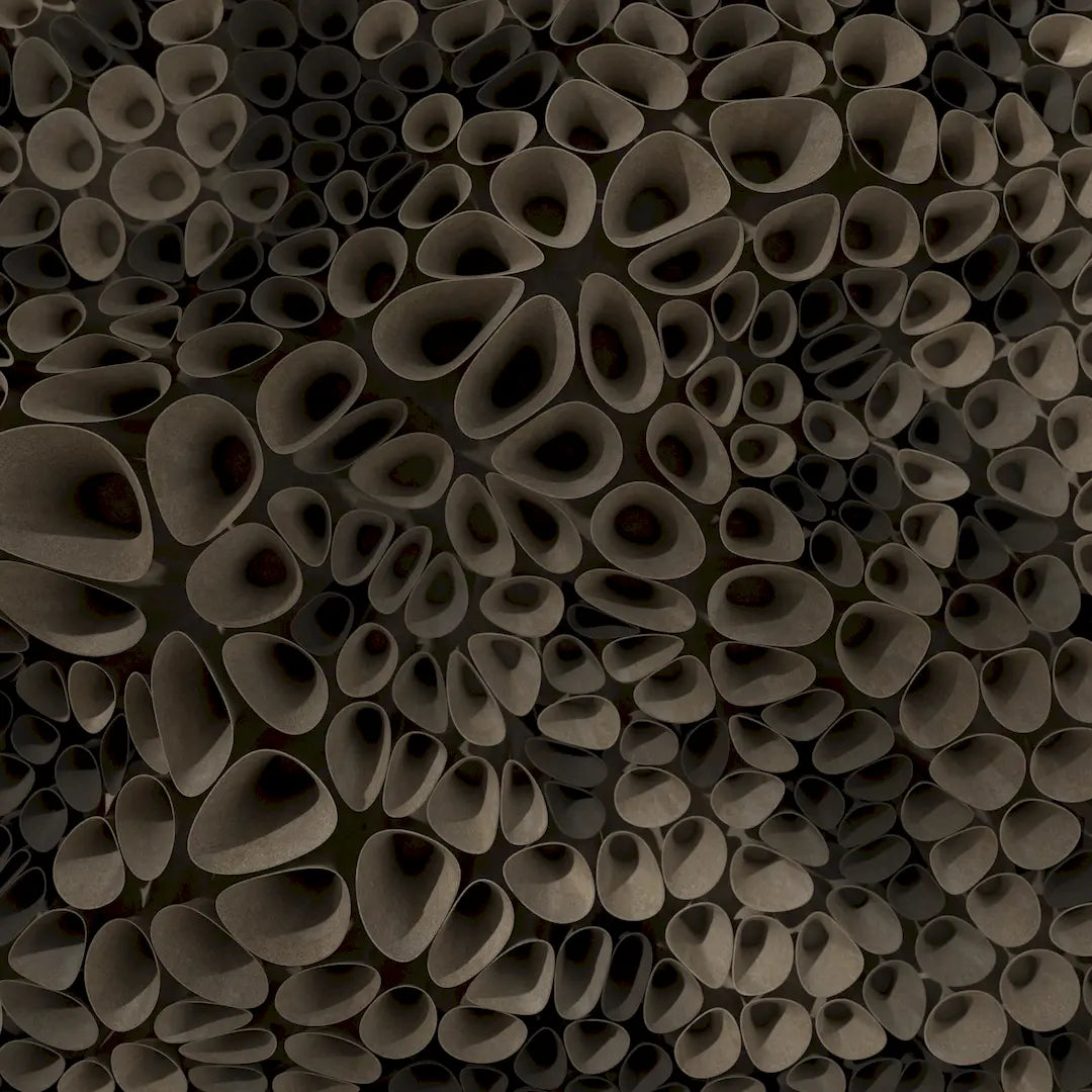 3D MODEL EXPORT for PARAGAMI 10_04 - CORAL SPONGE