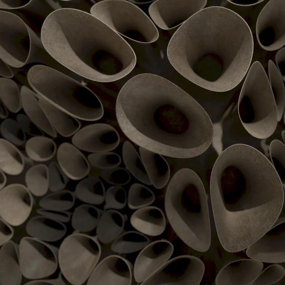 3D MODEL EXPORT for PARAGAMI 10_04 - CORAL SPONGE