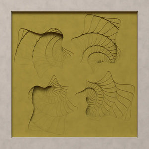FOUR SHELLS / PARAGAMI 009_040