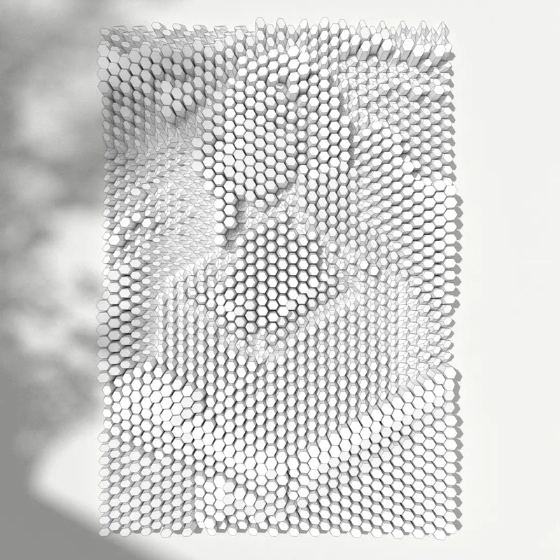 MONA LISA  / HEXSPIRE 101_032