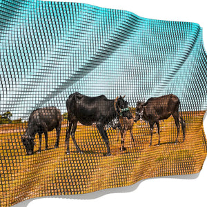 MIRROR CURTAIN - 3D MODEL / 002_010