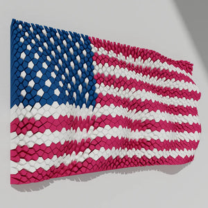 WINDY FLAG - 3D MODEL / 007_008