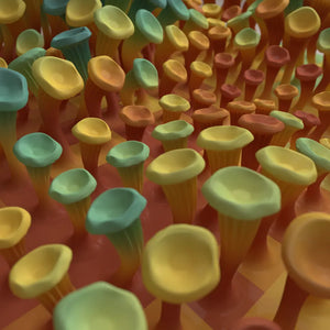 225 MUSHROOMS - 3D MODEL / 010_002