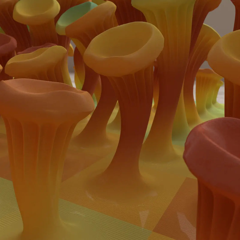 225 MUSHROOMS - 3D MODEL / 010_002