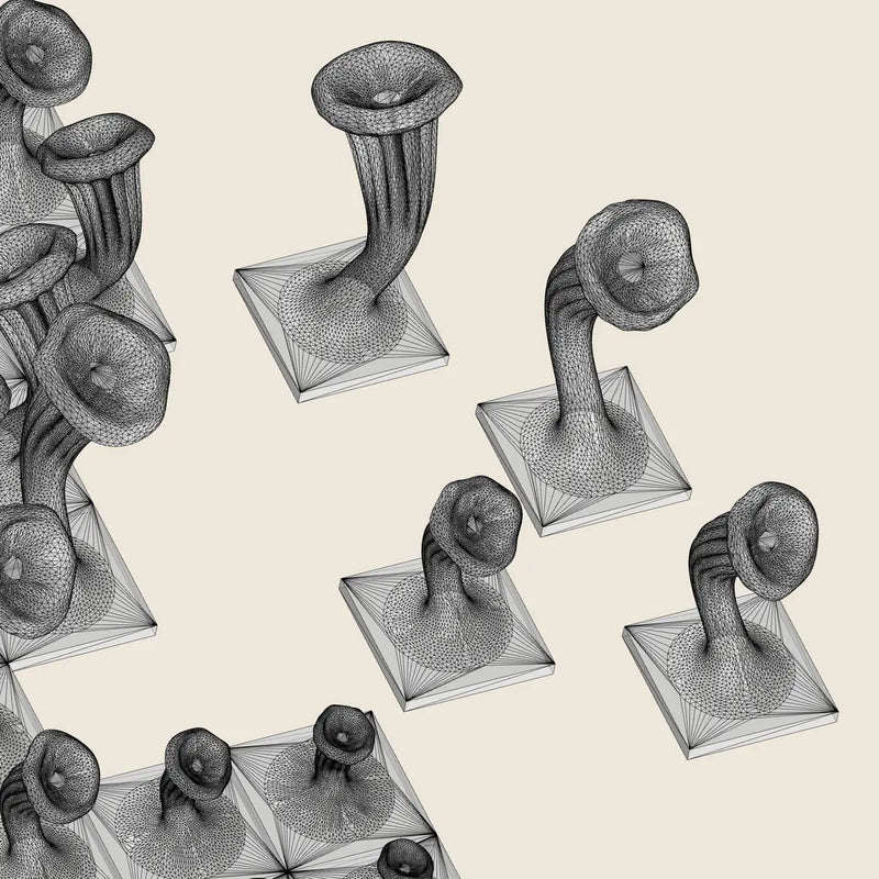 225 MUSHROOMS - 3D MODEL / 010_002