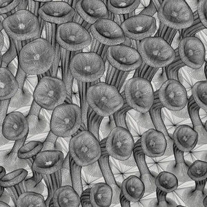 225 MUSHROOMS - 3D MODEL / 010_002