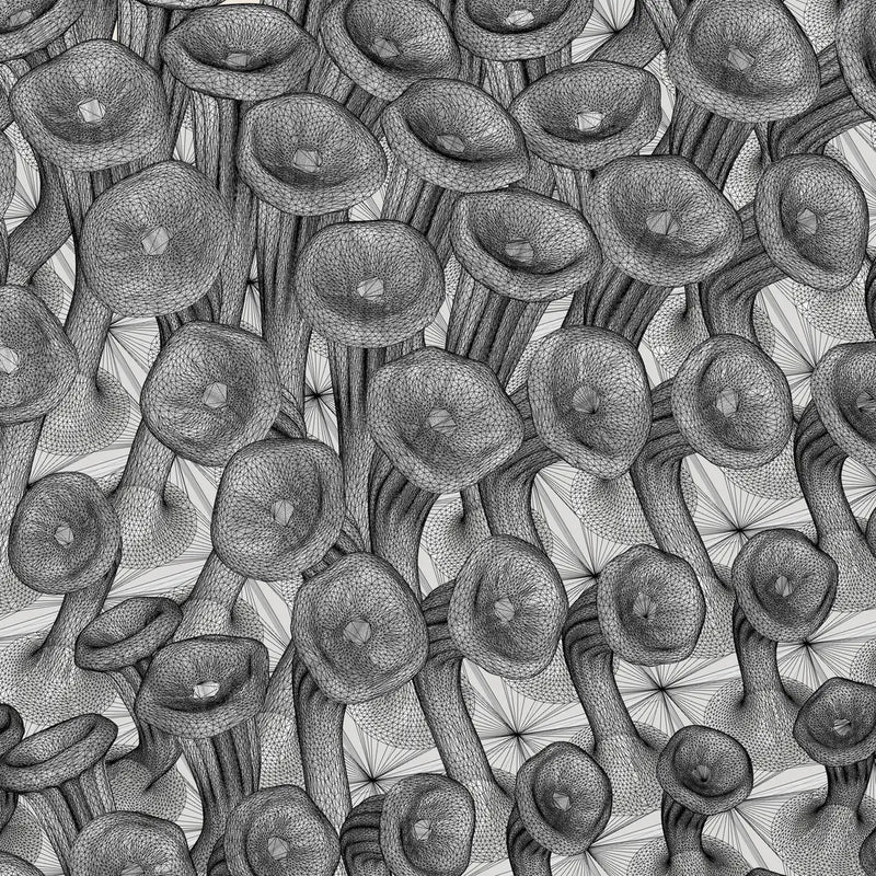 225 MUSHROOMS - 3D MODEL / 010_002