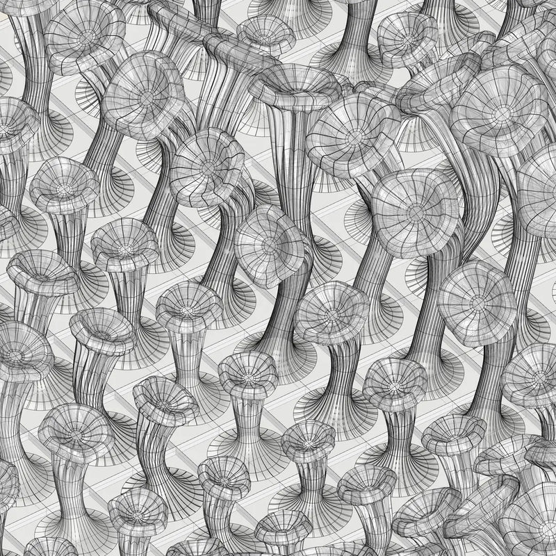 225 MUSHROOMS - 3D MODEL / 010_002