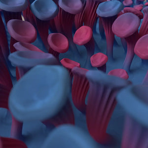 225 MUSHROOMS - 3D MODEL / 010_002