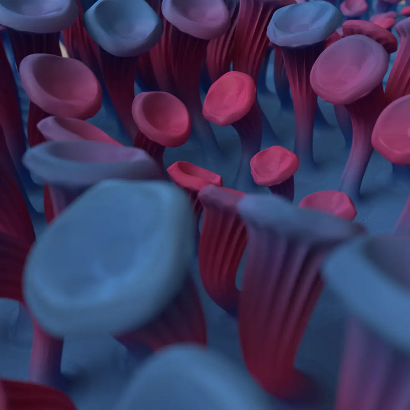 225 MUSHROOMS - 3D MODEL / 010_002