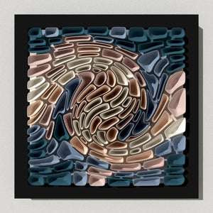 CORAL BULGE - 3D MODEL / 010_012