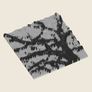 TREE SHADOW - 3D MODEL / 002_006