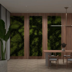 TREE SHADOW - 3D MODEL / 002_006