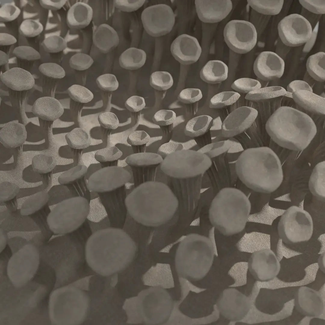 3D MODEL EXPORT for PARAGAMI 10_02 - 225 MUSHROOMS
