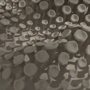 225 MUSHROOMS - 3D MODEL / 010_002
