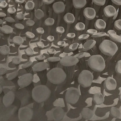 3D MODEL EXPORT for PARAGAMI 10_02 - 225 MUSHROOMS