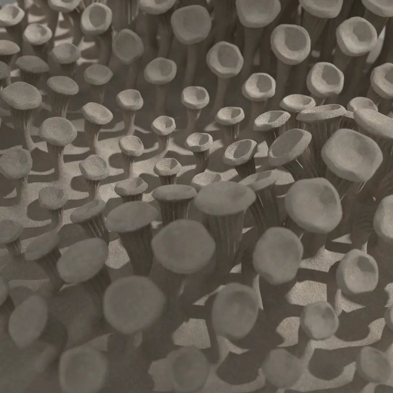 225 MUSHROOMS - 3D MODEL / 010_002