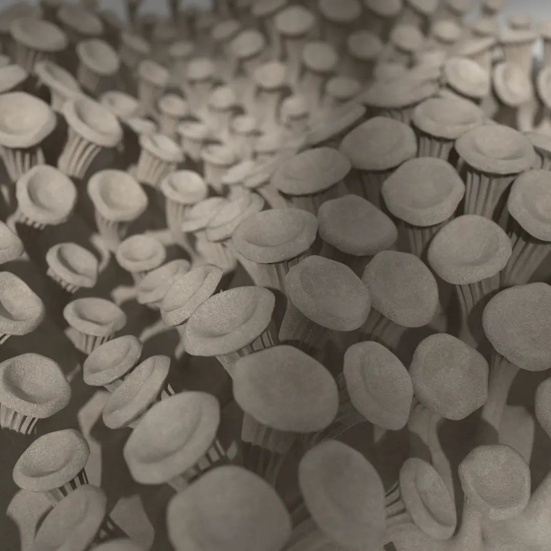 3D MODEL EXPORT for PARAGAMI 10_02 - 225 MUSHROOMS