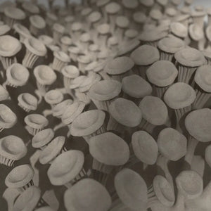 225 MUSHROOMS - 3D MODEL / 010_002
