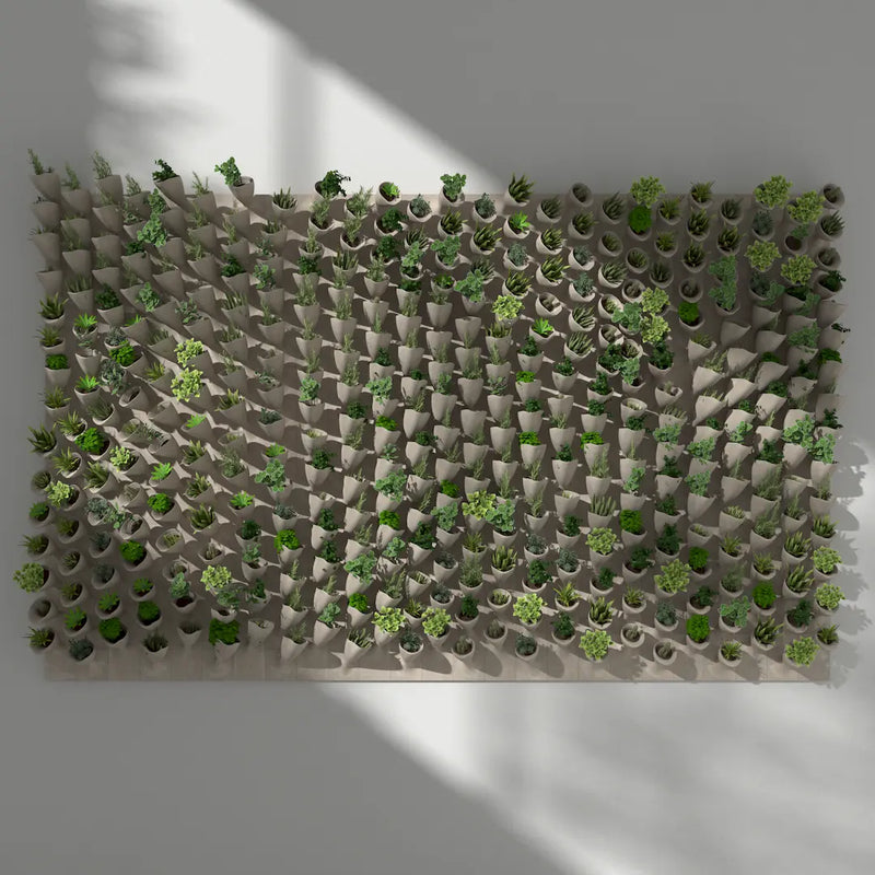 CORNETS DE FLEUR - 3D MODEL / 010_007