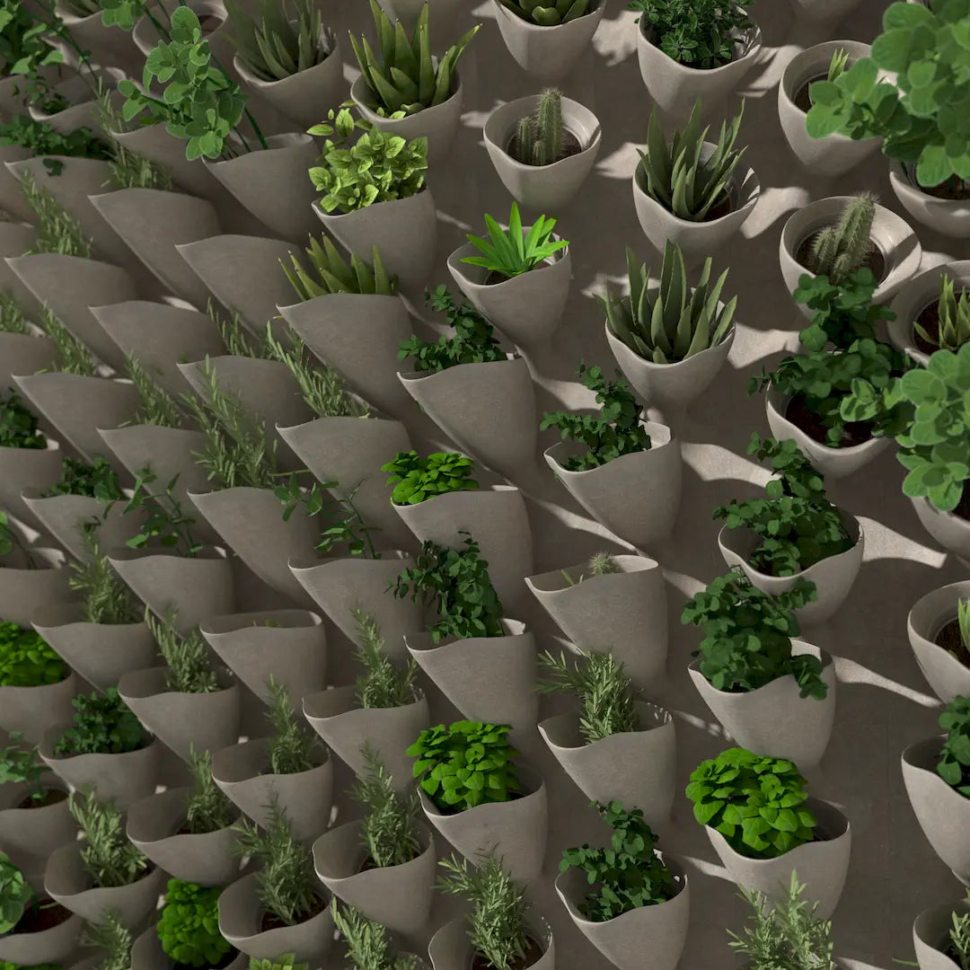 3D MODEL EXPORT for PARAGAMI 10_07 - CORNETS DE FLEUR