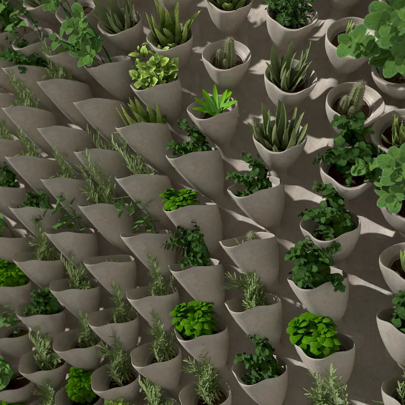 CORNETS DE FLEUR - 3D MODEL / 010_007
