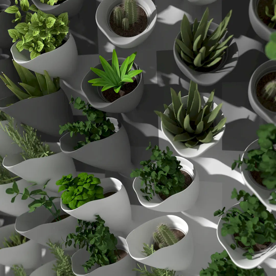 3D MODEL EXPORT for PARAGAMI 10_07 - CORNETS DE FLEUR