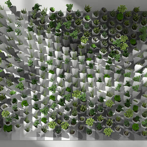 CORNETS DE FLEUR - 3D MODEL / 010_007