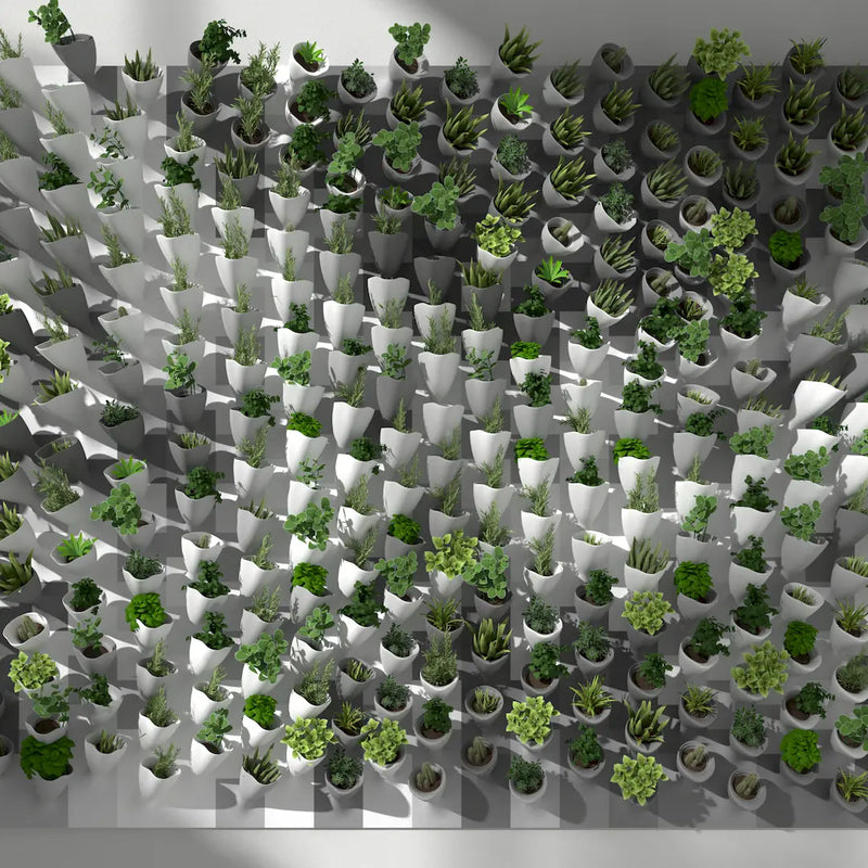 CORNETS DE FLEUR - 3D MODEL / 010_007