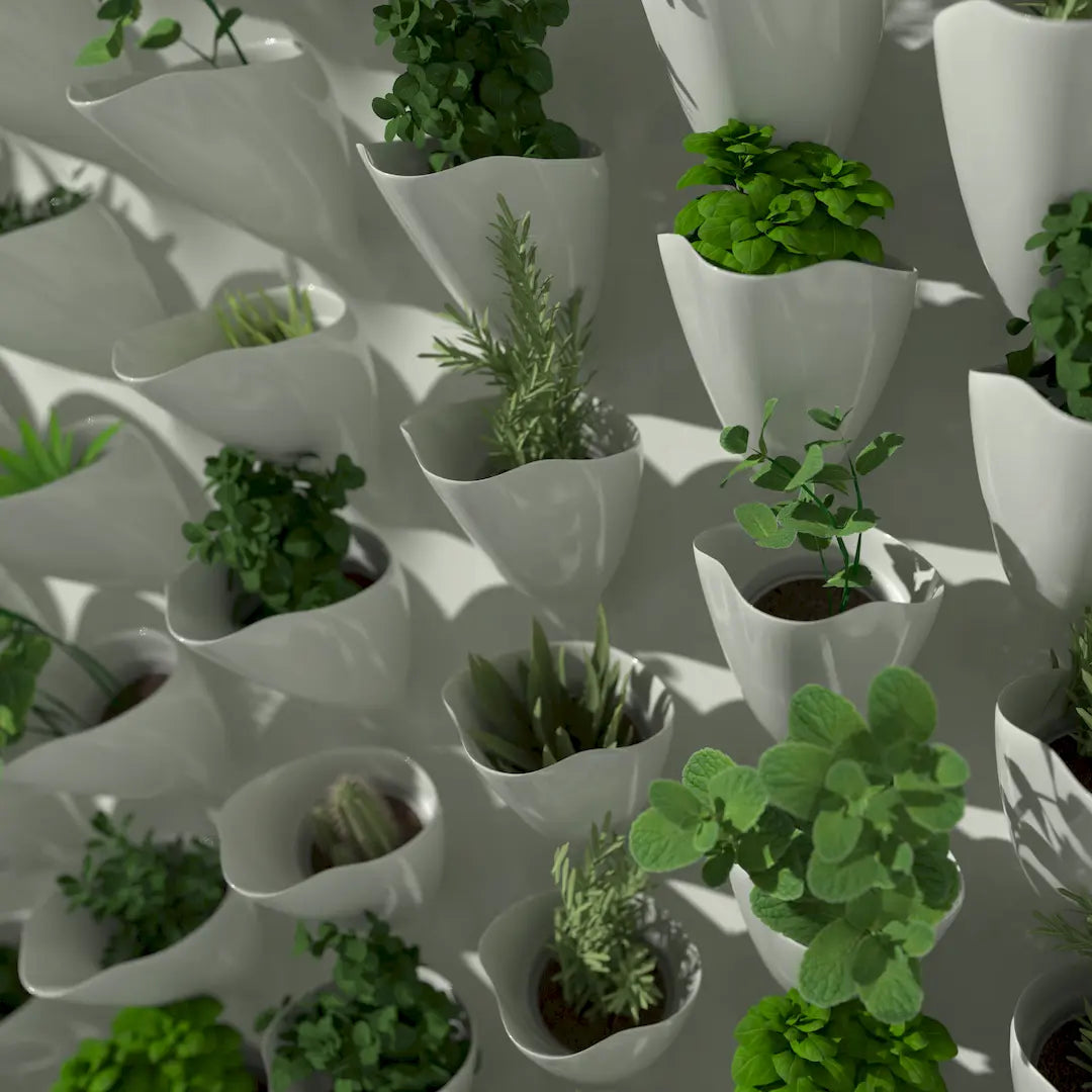 3D MODEL EXPORT for PARAGAMI 10_07 - CORNETS DE FLEUR