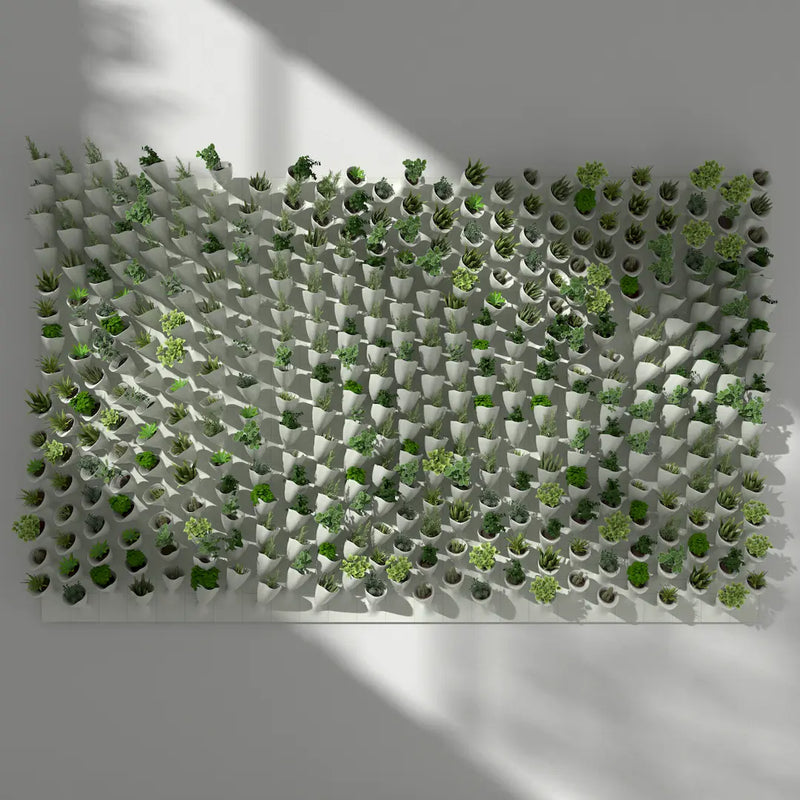 CORNETS DE FLEUR - 3D MODEL / 010_007