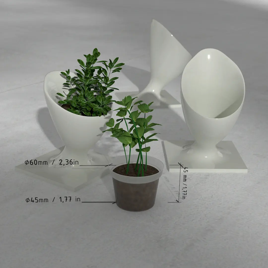 3D MODEL EXPORT for PARAGAMI 10_07 - CORNETS DE FLEUR