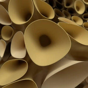 CORAL SPONGE 01 - 3D MODEL / 010_004
