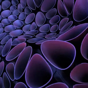 Coral Sponge in gradient silk filament — 3D printed wall art, Paragami