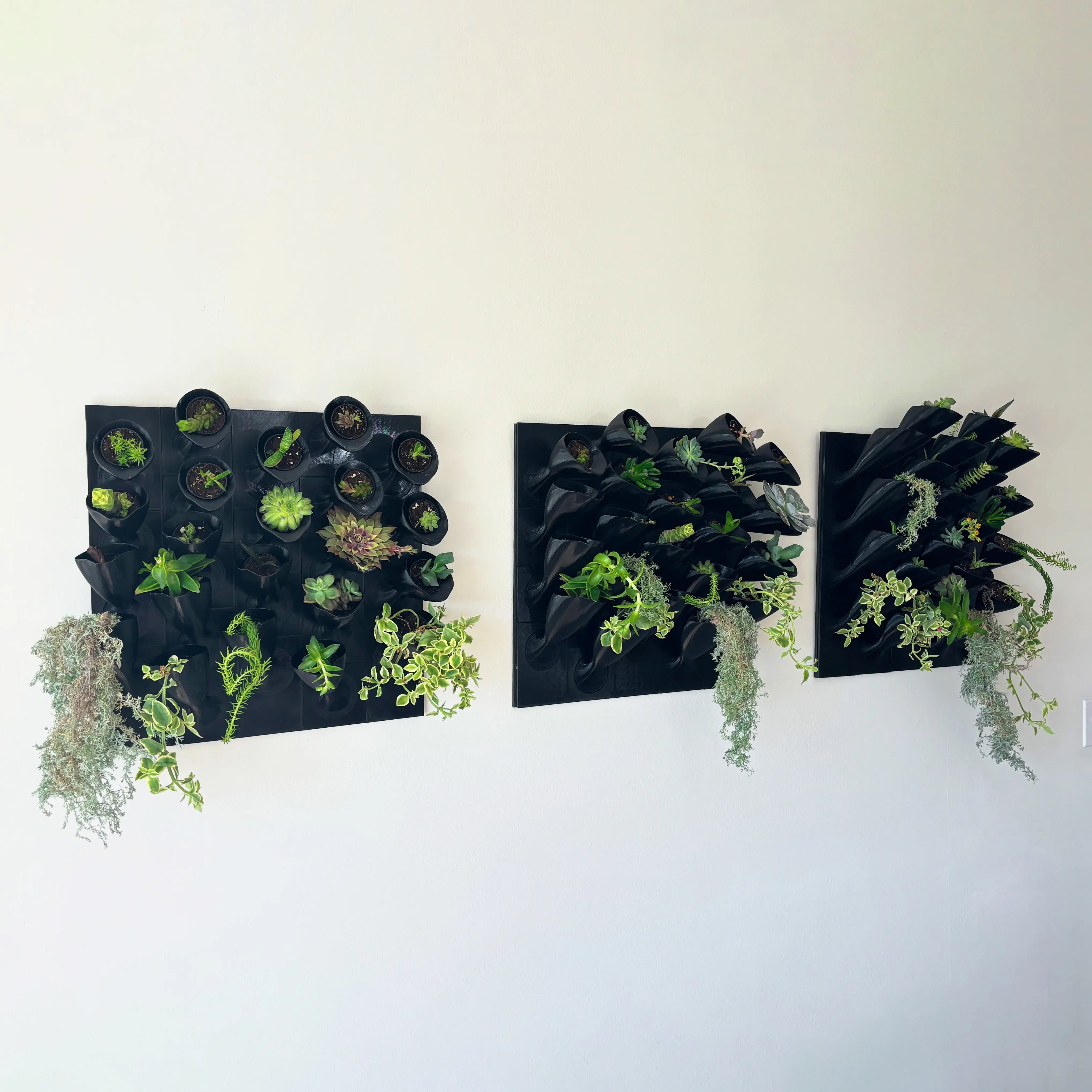 Customer image
