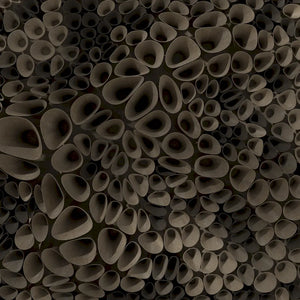 CORAL SPONGE 01 - 3D MODEL / 010_004