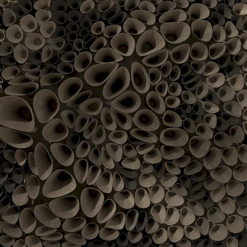 CORAL SPONGE 01 - 3D MODEL / 010_004
