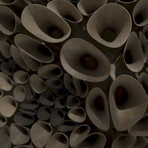 CORAL SPONGE 01 - 3D MODEL / 010_004