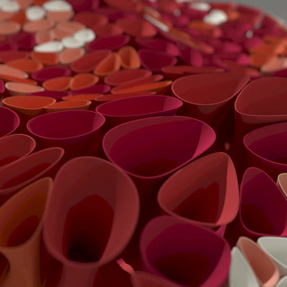 3D MODEL EXPORT for PARAGAMI 10_10 - CORAL SPONGE 2